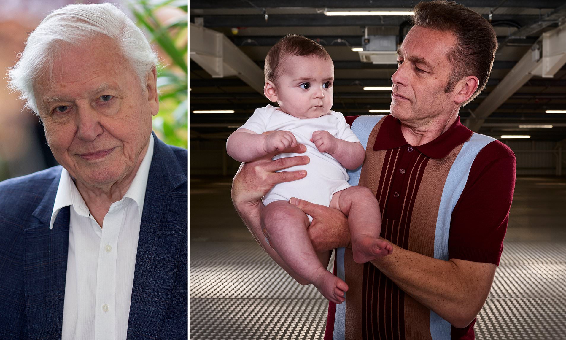 David Attenborough children news